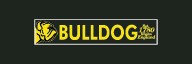 20 items are stocked by King Tools