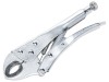 BlueSpot Tools Locking Pliers 254mm (10in)