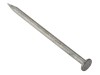 ForgeFix Round Head Nail Galvanised 100mm Bag of 2.5kg