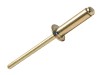 ForgeFix Aluminium Rivets 3.2 x 10mm Bag of 100