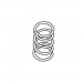 TREND WP-CRTMK3/11 SPRING FOR EDGE PLANING KNOB CRTMK3