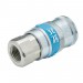 1/4\" BSP Taper Female Thread Vertex Air Coupling (Sold Loose)