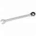 Elora Metric Ratcheting Combination Spanner, 10mm