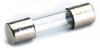 FUSE F10A