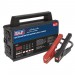 Sealey Battery Support Unit & Charger - 12V 100A