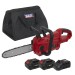 Sealey Cordless Chainsaw 25cm 20V Kit -  2 Batteries