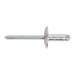 Sealey Aluminium Multi-Grip Rivet Large Flange 4.8 x 19mm Pack of 200