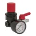 Sealey Air Regulator 1/4BSP Female - 1/4BSP Male