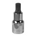 Sealey Spline Socket Bit M10 1/2\"Sq Drive