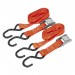 Sealey Cam Buckle Tie Down 25mm x 2.5mtr Polyester Webbing with S Hooks 500kg Load Test