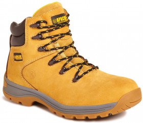 Click For Bigger Image